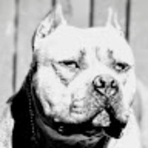 Meet your Posher, Jaime